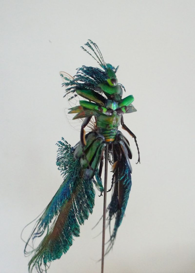 Illustration for article titled The Most Majestic Fairy Sculptures We've Seen Are Made Out Of Insects